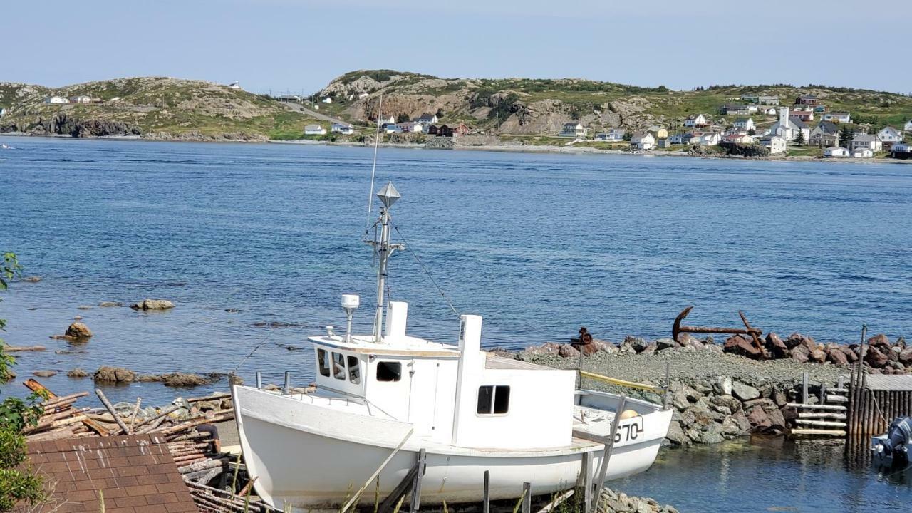 Hillside Cottage 1 Twillingate Exteriér fotografie