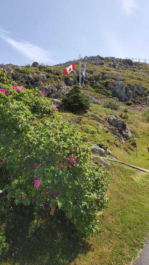 Hillside Cottage 1 Twillingate Exteriér fotografie