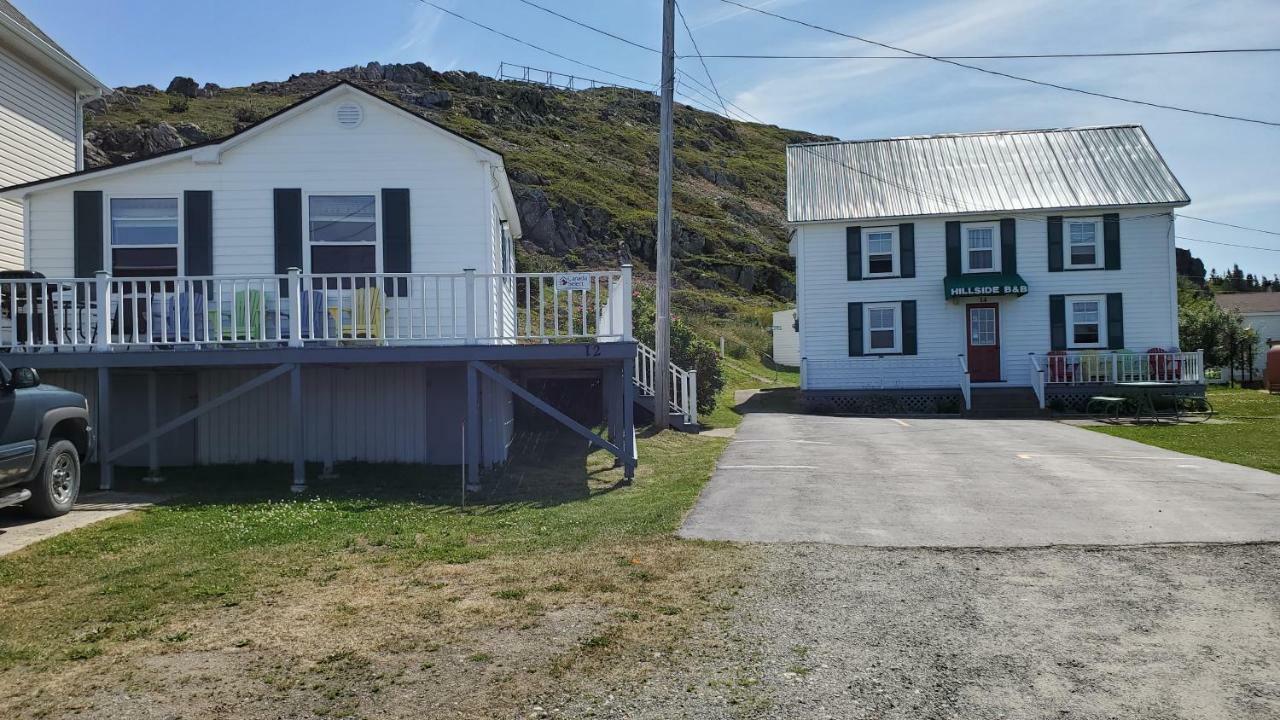 Hillside Cottage 1 Twillingate Exteriér fotografie